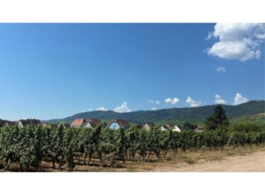 Eclats de Vigne Immobilier neuf Wintzenheim