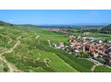 Wintzenheim programme neuf  Eclats de Vigne