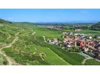 Wintzenheim programme neuf Eclats de Vigne