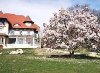 Programme neuf Laxou : Le Domaine du Parc