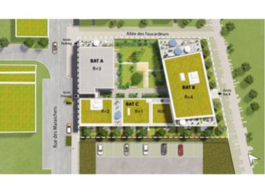 Tempo Nature programme neuf Amiens