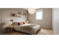 Les Collectionneurs immobilier neuf Tours