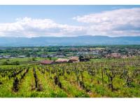 Programme immobilier neuf maison Loisin