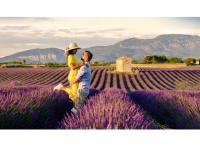 Programme immobilier neuf mixte Aix-en-Provence