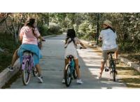 Appart La Ville-aux-Dames