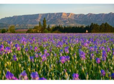 Programme immobilier neuf appart Trets