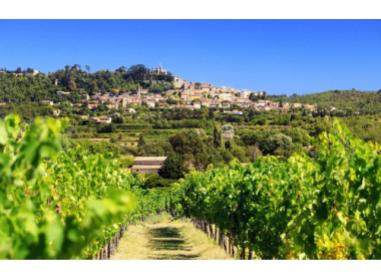 Programme immobilier neuf appart Saint-Rémy-de-Provence